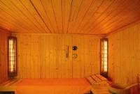 Infraradiatoare pentru saune uscate